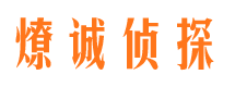 凤泉市私家侦探